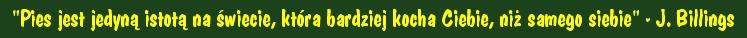 "Pies jest jedyną istotą na świecie, która bardziej kocha Ciebie, niż samego siebie" - J. Billings